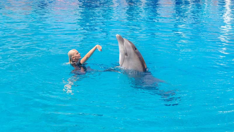 alanya dolphinarium